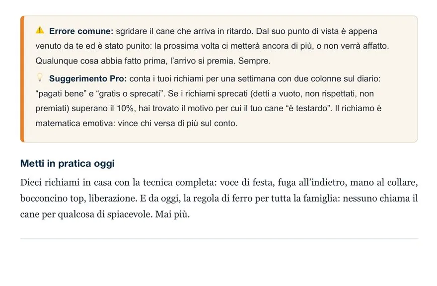 Pagina 28 del manuale: i box Errore comune e Suggerimento Pro e la chiusura Metti in pratica oggi