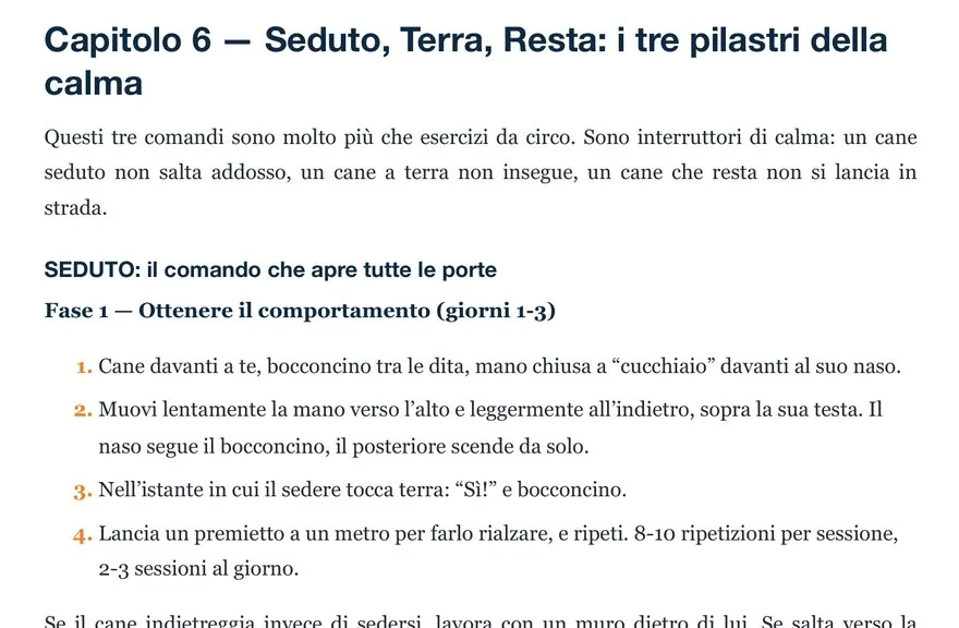 Pagina 23 del manuale: Capitolo 6, Seduto, Terra, Resta, con le fasi e gli esercizi numerati